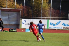 Hegauer FV - VfL Sindelfingen (F1) (01.11.2018)