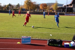 Hegauer FV - VfL Sindelfingen (F1) (01.11.2018)