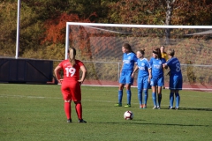 Hegauer FV - VfL Sindelfingen (F1) (01.11.2018)