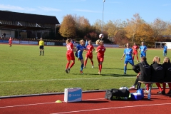 Hegauer FV - VfL Sindelfingen (F1) (01.11.2018)