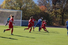 Hegauer FV - VfL Sindelfingen (F1) (01.11.2018)