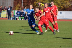 Hegauer FV - VfL Sindelfingen (F1) (01.11.2018)