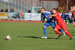 Hegauer FV - VfL Sindelfingen (F1) (01.11.2018)