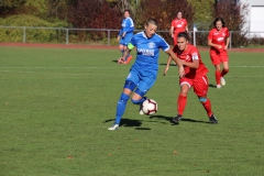 Hegauer FV - VfL Sindelfingen (F1) (01.11.2018)