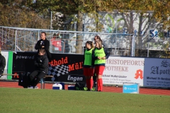 Hegauer FV - VfL Sindelfingen (F1) (01.11.2018)