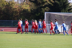 Hegauer FV - VfL Sindelfingen (F1) (01.11.2018)