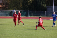 Hegauer FV - VfL Sindelfingen (F1) (01.11.2018)