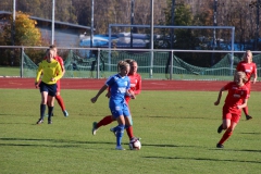 Hegauer FV - VfL Sindelfingen (F1) (01.11.2018)