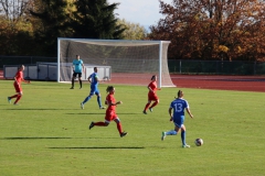 Hegauer FV - VfL Sindelfingen (F1) (01.11.2018)