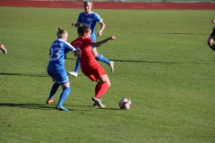 Hegauer FV - VfL Sindelfingen (F1) (01.11.2018)