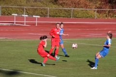 Hegauer FV - VfL Sindelfingen (F1) (01.11.2018)