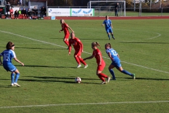 Hegauer FV - VfL Sindelfingen (F1) (01.11.2018)