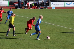 Hegauer FV - VfL Sindelfingen (F1) (01.11.2018)