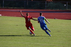 Hegauer FV - VfL Sindelfingen (F1) (01.11.2018)