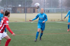 SC Freiburg - VFL Sindelfingen (B1) (20.11.2021)