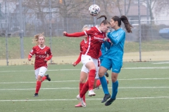 SC Freiburg - VFL Sindelfingen (B1) (20.11.2021)