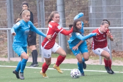 SC Freiburg - VFL Sindelfingen (B1) (20.11.2021)