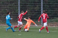 SC Freiburg - VFL Sindelfingen (B1) (20.11.2021)