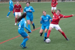 SC Freiburg - VFL Sindelfingen (B1) (20.11.2021)