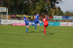 SC Sand II - VfL Sindelfingen (F1) (16.09.2018)