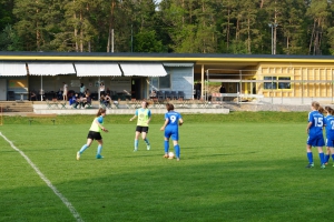 SGM SV Pfrondorf - VfL Sindelfingen (C) (24.05.2019)