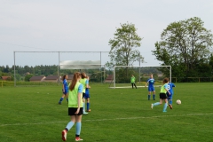 SGM SV Pfrondorf-Mindersbach/Oberes Nagoldtal - VfL Sindelfingen (C) (24.05.2019)