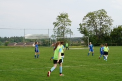 SGM SV Pfrondorf-Mindersbach/Oberes Nagoldtal - VfL Sindelfingen (C) (24.05.2019)