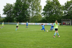 SGM SV Pfrondorf-Mindersbach/Oberes Nagoldtal - VfL Sindelfingen (C) (24.05.2019)