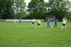 SGM SV Pfrondorf-Mindersbach/Oberes Nagoldtal - VfL Sindelfingen (C) (24.05.2019)