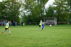 SGM SV Pfrondorf-Mindersbach/Oberes Nagoldtal - VfL Sindelfingen (C) (24.05.2019)