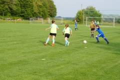 SGM SV Pfrondorf-Mindersbach/Oberes Nagoldtal - VfL Sindelfingen (C) (24.05.2019)