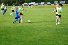 SGM SV Pfrondorf-Mindersbach/Oberes Nagoldtal - VfL Sindelfingen (C) (24.05.2019)