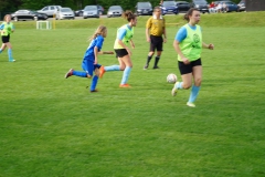 SGM SV Pfrondorf-Mindersbach/Oberes Nagoldtal - VfL Sindelfingen (C) (24.05.2019)