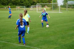 SGM SV Pfrondorf-Mindersbach/Oberes Nagoldtal - VfL Sindelfingen (C) (24.05.2019)