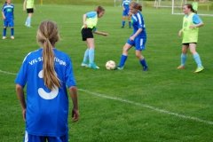 SGM SV Pfrondorf-Mindersbach/Oberes Nagoldtal - VfL Sindelfingen (C) (24.05.2019)