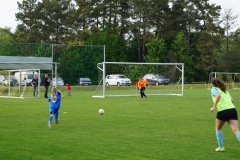 SGM SV Pfrondorf-Mindersbach/Oberes Nagoldtal - VfL Sindelfingen (C) (24.05.2019)