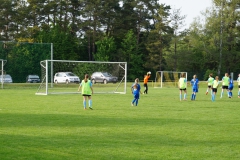 SGM SV Pfrondorf-Mindersbach/Oberes Nagoldtal - VfL Sindelfingen (C) (24.05.2019)