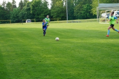 SGM SV Pfrondorf-Mindersbach/Oberes Nagoldtal - VfL Sindelfingen (C) (24.05.2019)