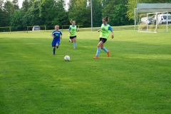 SGM SV Pfrondorf-Mindersbach/Oberes Nagoldtal - VfL Sindelfingen (C) (24.05.2019)