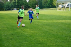 SGM SV Pfrondorf-Mindersbach/Oberes Nagoldtal - VfL Sindelfingen (C) (24.05.2019)