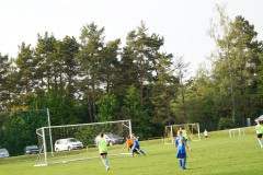 SGM SV Pfrondorf-Mindersbach/Oberes Nagoldtal - VfL Sindelfingen (C) (24.05.2019)