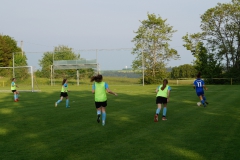 SGM SV Pfrondorf-Mindersbach/Oberes Nagoldtal - VfL Sindelfingen (C) (24.05.2019)