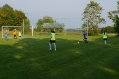 SGM SV Pfrondorf-Mindersbach/Oberes Nagoldtal - VfL Sindelfingen (C) (24.05.2019)