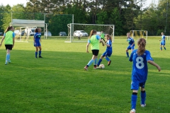 SGM SV Pfrondorf-Mindersbach/Oberes Nagoldtal - VfL Sindelfingen (C) (24.05.2019)