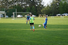 SGM SV Pfrondorf-Mindersbach/Oberes Nagoldtal - VfL Sindelfingen (C) (24.05.2019)