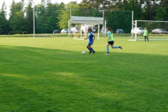 SGM SV Pfrondorf-Mindersbach/Oberes Nagoldtal - VfL Sindelfingen (C) (24.05.2019)