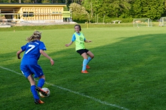 SGM SV Pfrondorf-Mindersbach/Oberes Nagoldtal - VfL Sindelfingen (C) (24.05.2019)