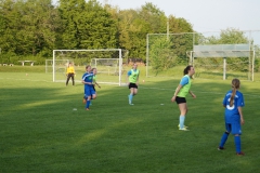 SGM SV Pfrondorf-Mindersbach/Oberes Nagoldtal - VfL Sindelfingen (C) (24.05.2019)