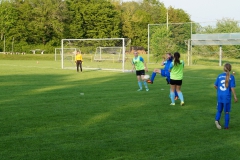 SGM SV Pfrondorf-Mindersbach/Oberes Nagoldtal - VfL Sindelfingen (C) (24.05.2019)