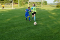 SGM SV Pfrondorf-Mindersbach/Oberes Nagoldtal - VfL Sindelfingen (C) (24.05.2019)